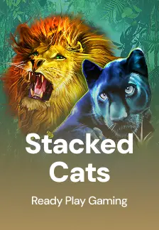 Stacked Cats